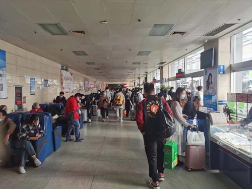 市交通局圆满完成“双节”期间运输服务保障工作，全市运送旅客61.5万人次