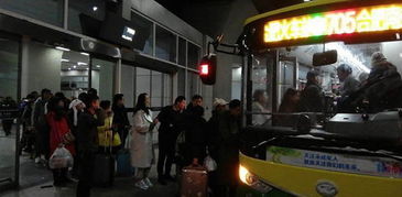 合肥公交总动员 铲冰除雪保出行，全力守护道路旅客运输站运营